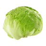 Iceberg Lettuce