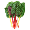 Rainbow Chard