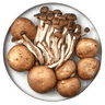 Champignon-Buchenpilze-Mix