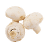 Champignon