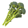 Broccolini