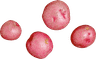 Red Potatoes