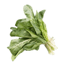 Leafy Greens