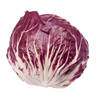 Radicchio