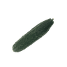 Mini Cucumber