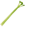 Sedano