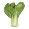Pak choi