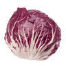 Radicchio