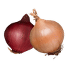 Onion