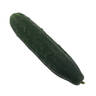 Mini Cucumber