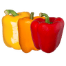 Bell Pepper