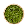 Rúcula