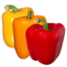 Mini Sweet Pepper