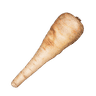 Parsnip