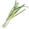 Scallions