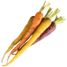 Baby Carrots