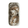 Tail-On Prawns