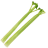 Celery