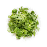 Baby spinach & rocket mix