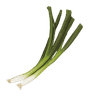 Bosui