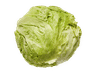 Baby Iceberg Lettuce