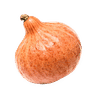 Hokkaido Pumpkin