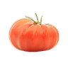 Fleischtomate