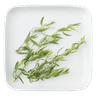 Estragon frais