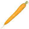 Carotte jaune
