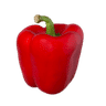 Bell Pepper